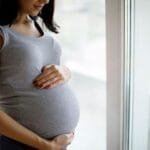 Subsidio Maternal